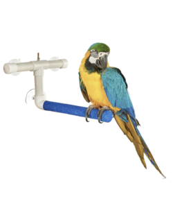 Adventure Bound Window & Shower Parrot Perch - Large 